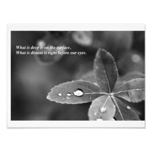 Zen en Taoïstische Meditatie Foto Foto Afdruk