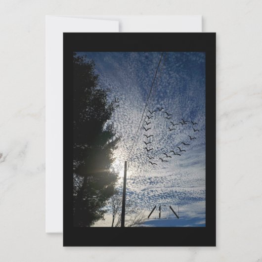 ZEN FEESTDAGENKAART (Voorkant)