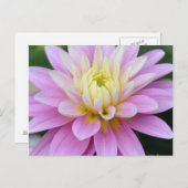 Zen Flower- Dahlia Briefkaart (Voorkant / Achterkant)