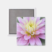 Zen Flower- Dahlia Magnet Rumi Quote (Voorkant / Achterkant)