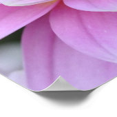 Zen Flower- Dahlia Poster (Hoek)