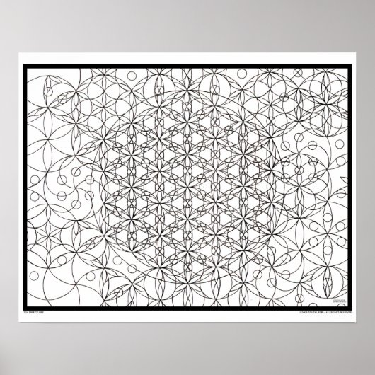Zen Flower of Life Coloring Poster (Voorkant)