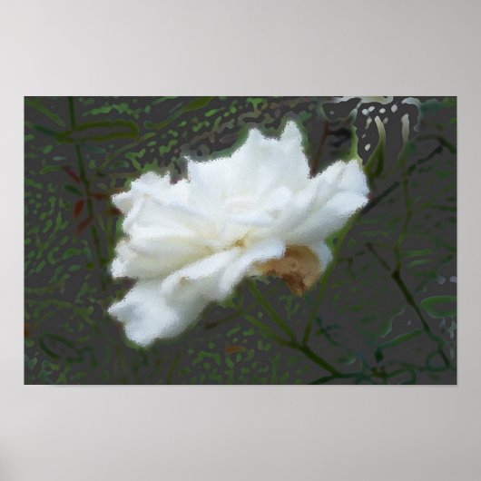 Zen Flower Poster (Voorkant)