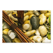 Zen. Foto Afdruk (Voorkant)