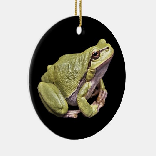 Zen Frog Bleek Green Treefrog Black Ornament (Rechts)