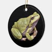 Zen Frog Bleek Green Treefrog Black Ornament (Links)