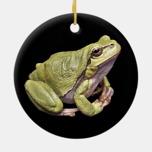 Zen Frog Bleek Green Treefrog Black Ornament (Achterkant)