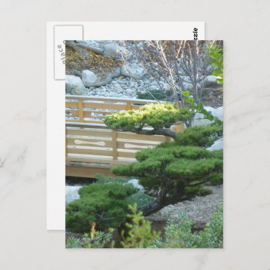 Zen Garden Briefkaart (Voorkant / Achterkant)