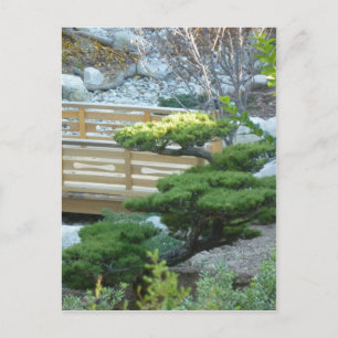 Zen Garden Briefkaart