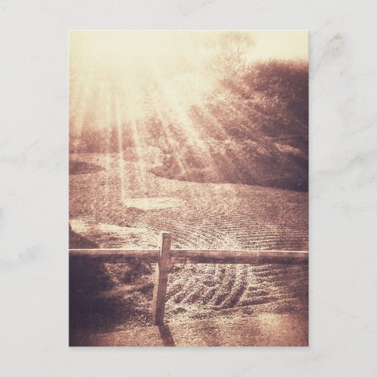 Zen Garden Briefkaart (Voorkant)