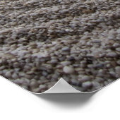 Zen Garden Detail. Poster (Hoek)