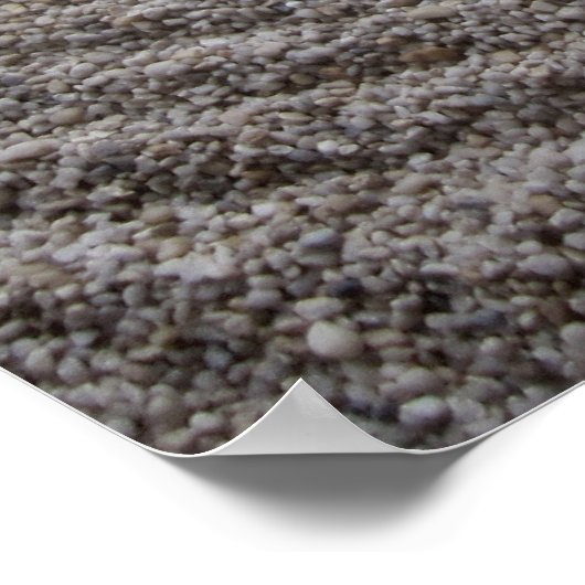 Zen Garden Detail. Poster (Hoek)