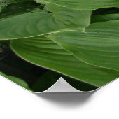 Zen Garden poster met witte randen (Hoek)