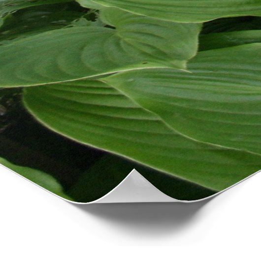 Zen Garden poster met witte randen (Hoek)