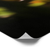 Zen Garden rustige vreedzame Natuur Poster (Hoek)