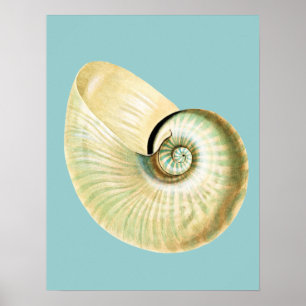 Zen Geïnspireerd proefthema Poster