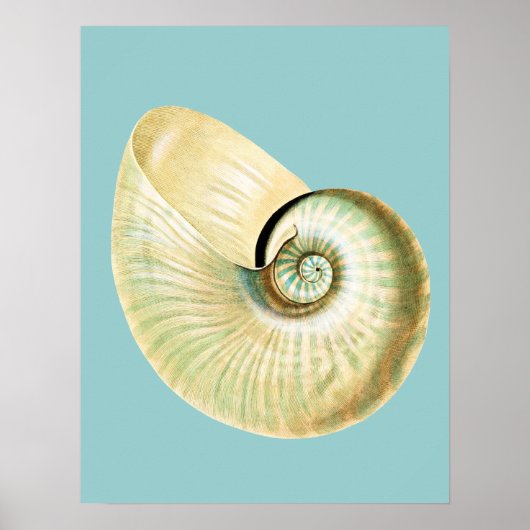 Zen Geïnspireerd proefthema Poster (Voorkant)