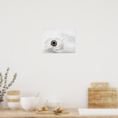 Zen High Key White Anemone op waterachtergrond Poster (Keuken)