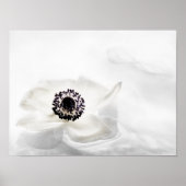 Zen High Key White Anemone op waterachtergrond Poster (Voorkant)