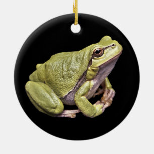 Zen Kikker Lichtgroene Boomkikker Zwart Ornament