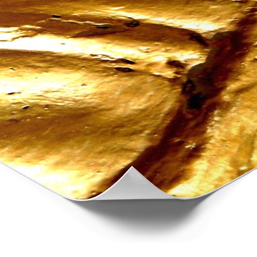 Zen Landschap door Gregory Gallo Poster (Hoek)