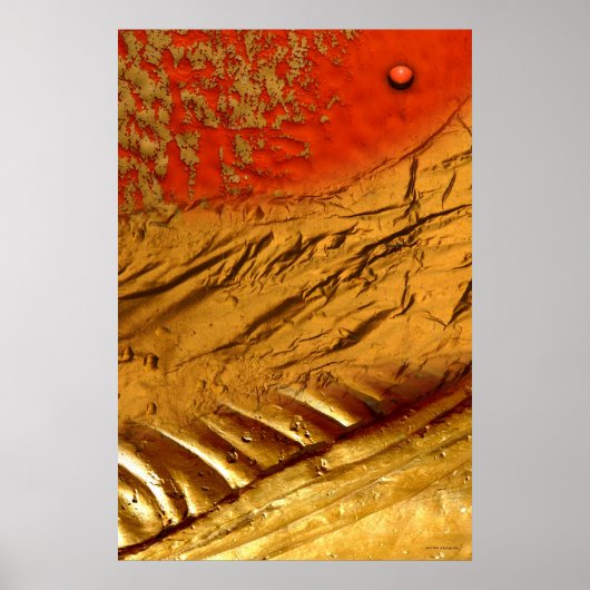 Zen Landschap door Gregory Gallo Poster (Voorkant)