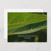 Zen Leaf Postcard – Persoonlijke Natuur Postcard Briefkaart (Voorkant / Achterkant)