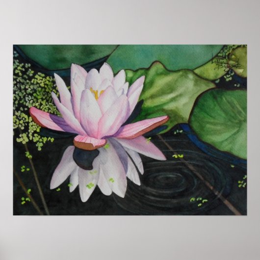 Zen Lilly Poster (Voorkant)