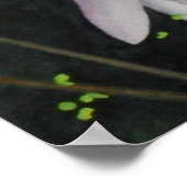 Zen Lilly Poster (Hoek)