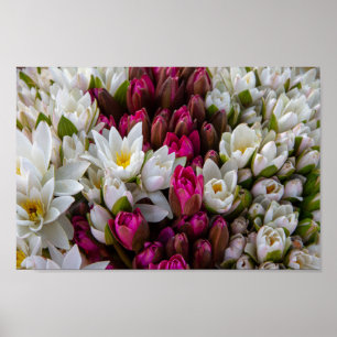 Zen Lotus Flower Bouquet Poster