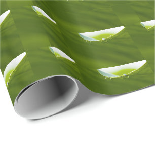 Zen Love Green Lotus Leaf Water Drop Cadeaupapier