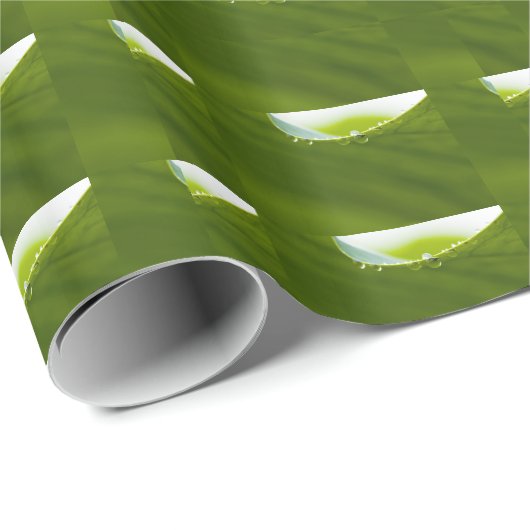 Zen Love Green Lotus Leaf Water Drop Cadeaupapier (Rol Hoek)