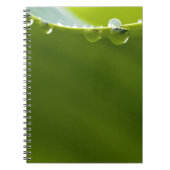 Zen Love Green Lotus Leaf Water Drop Notitieboek (Voorkant)