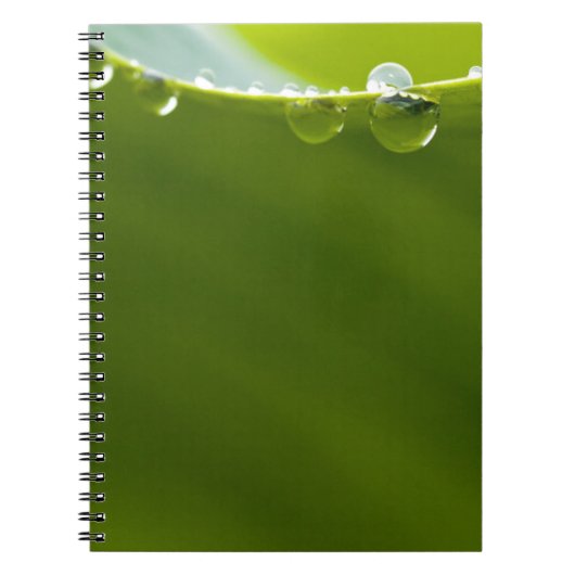 Zen Love Green Lotus Leaf Water Drop Notitieboek (Voorkant)