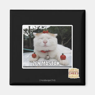 Zen Mastah Magneet