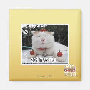 Zen Mastah Magneet