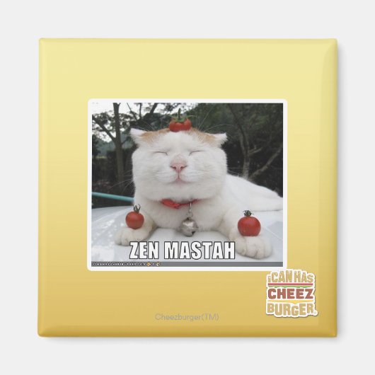 Zen Mastah Magneet (Voorkant)