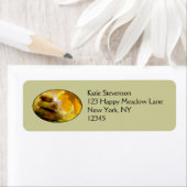 Zen meditatie-stenen en Maple Leaves Etiket (Insitu)