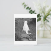 Zen moment briefkaart (Staand voorkant)