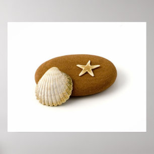 Zen Natuur Zee Shell Star fish Pebble Poster
