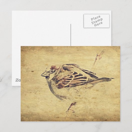 Zen Oosterse kunstpotlood schets wilde vogel Briefkaart (Voorkant / Achterkant)