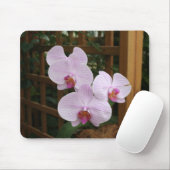 Zen orchideeën muismat (Met muis)