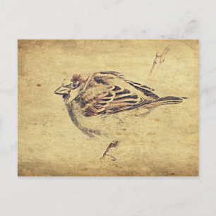 Zen Oriental art pencil sketch wilde vogel Briefkaart