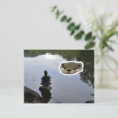 Zen Otter (kleur) Briefkaart (Staand voorkant)
