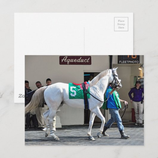 Zen Papa Briefkaart (Voorkant / Achterkant)