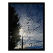 ZEN PERFECT POSTER (Voorkant)