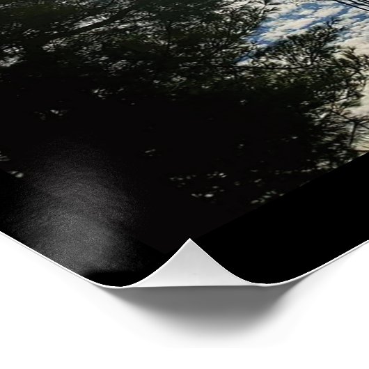 ZEN PERFECT POSTER (Hoek)