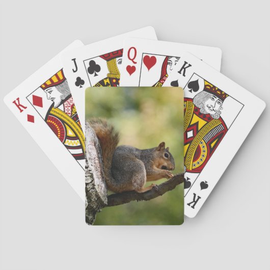 Zen Pokerkaarten (Achterkant)