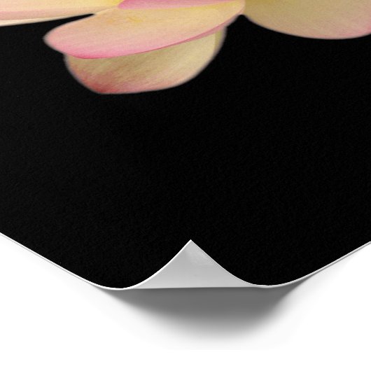 Zen-Poster Poster (Hoek)