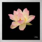 Zen-Poster Poster (Voorkant)